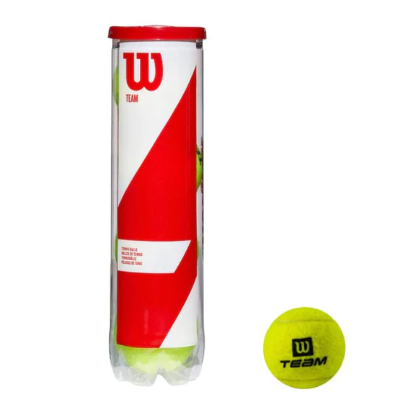 Wilson Team 4 Ball Can